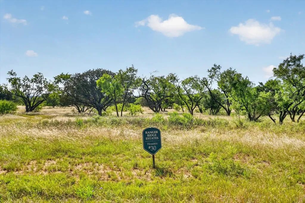 Lot 30 Tbd Bigfoot Road Strawn TX 76475