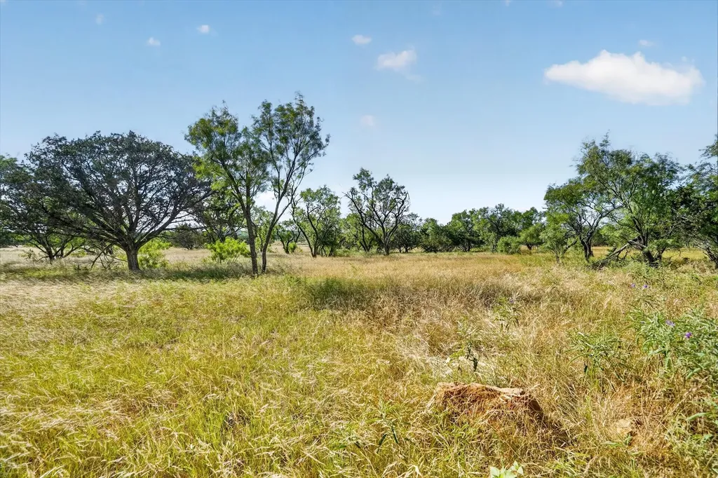 Lot 30 Tbd Bigfoot Road Strawn TX 76475