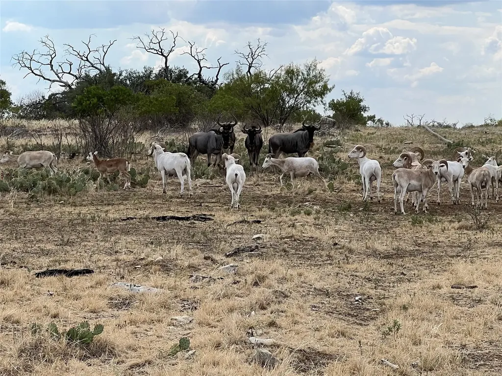 Tbd 78 Cavalier Road Strawn TX 76475