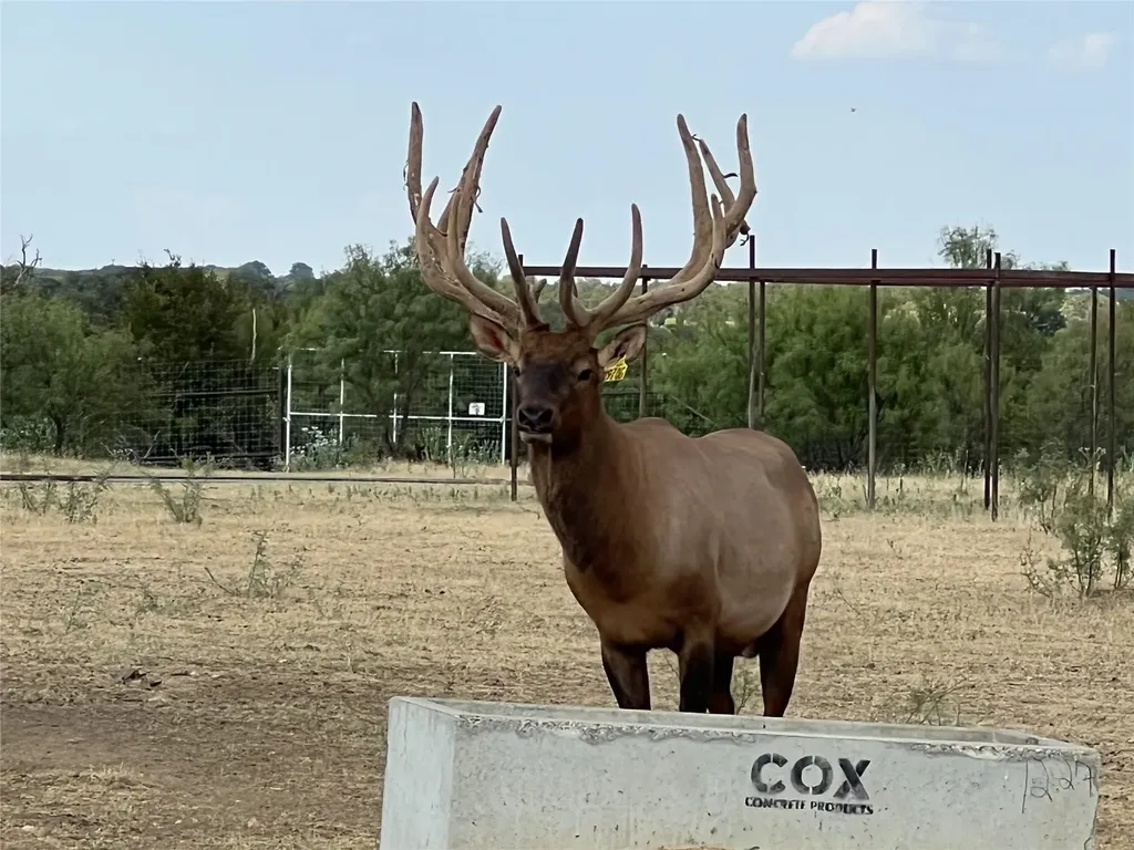Tbd 78 Cavalier Road Strawn TX 76475