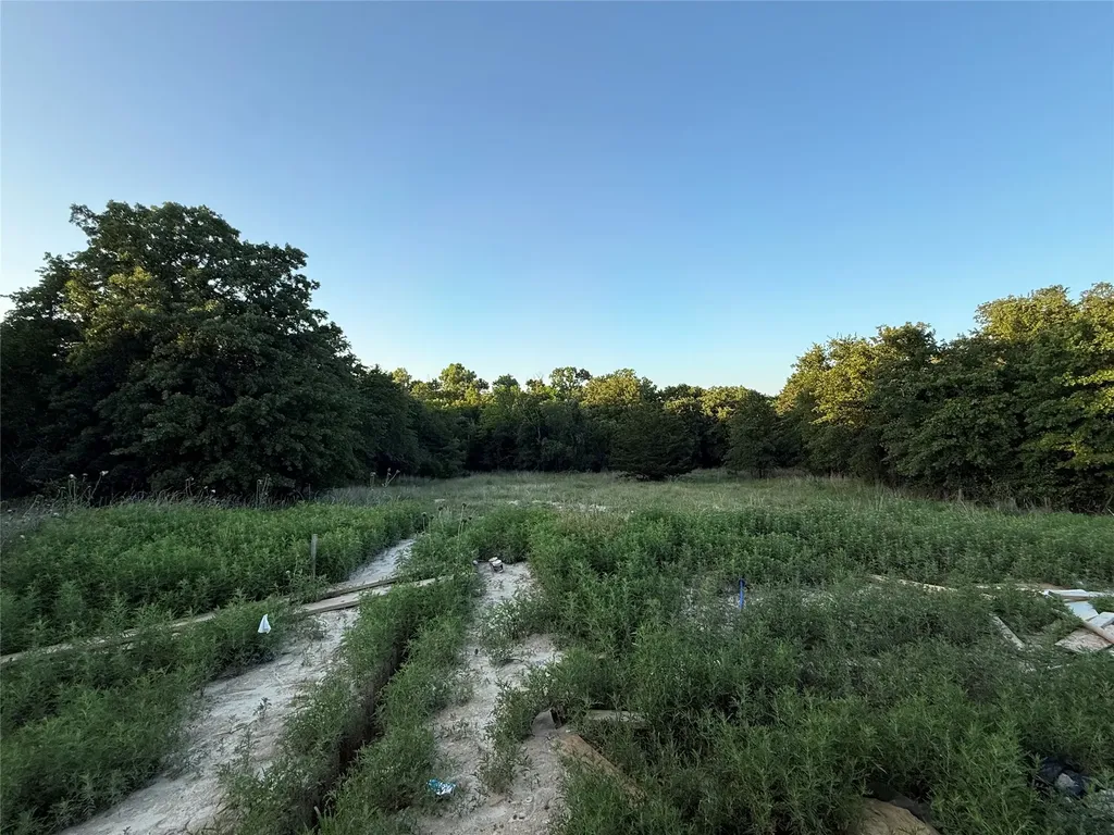 281 Zebrastone Way Poolville TX 76487
