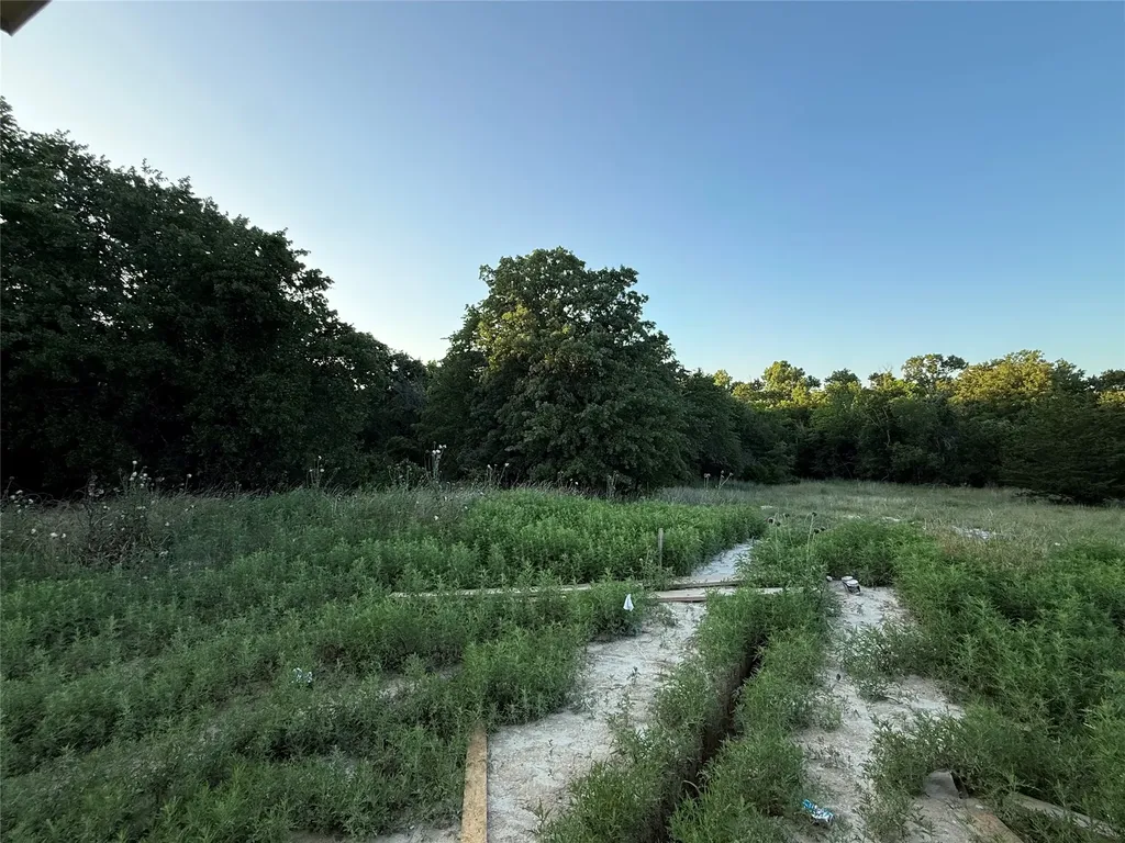 281 Zebrastone Way Poolville TX 76487
