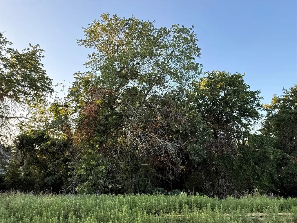 277 Zebrastone Way Poolville TX 76487