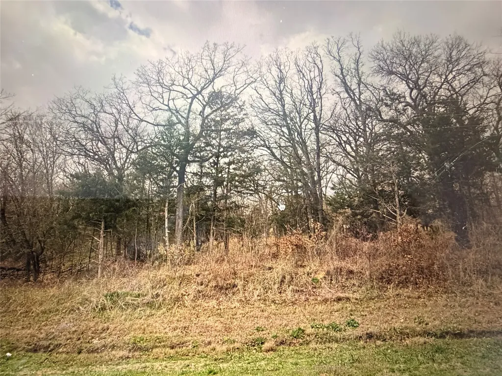 323 Daniel Boone Road Honey Grove TX 75446