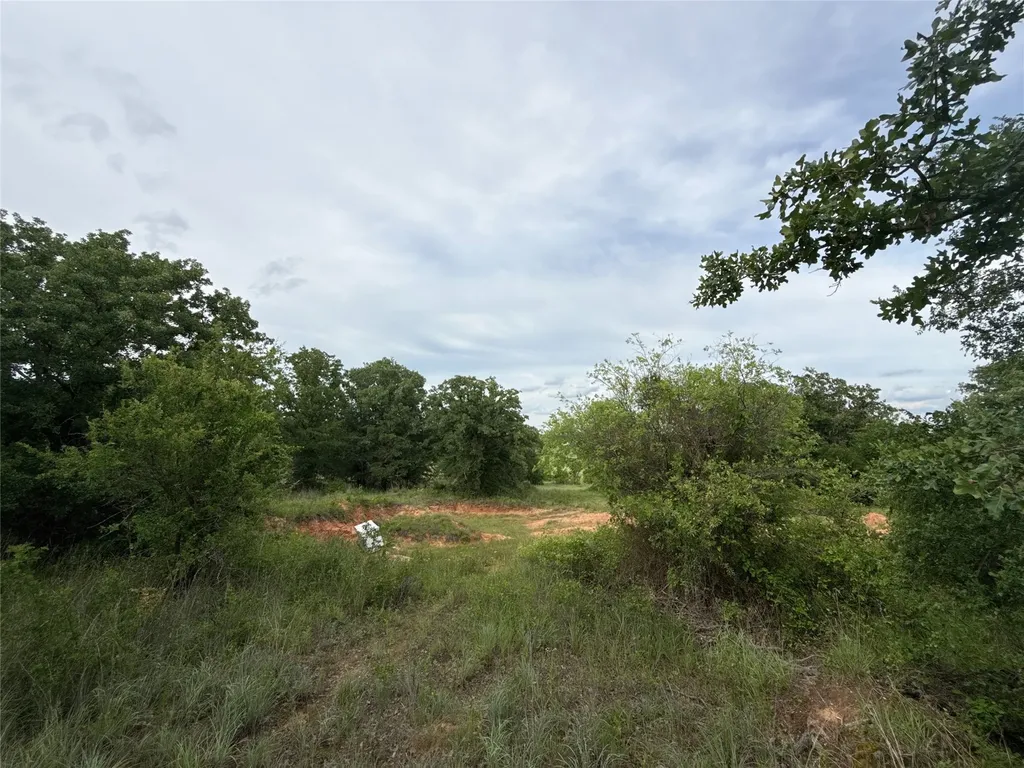 316 County Road 458 De Leon TX 76444