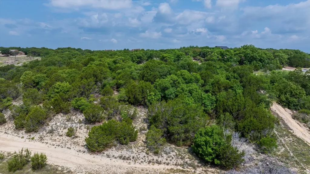 2590 Beacon Lake Drive Bluff Dale TX 76433
