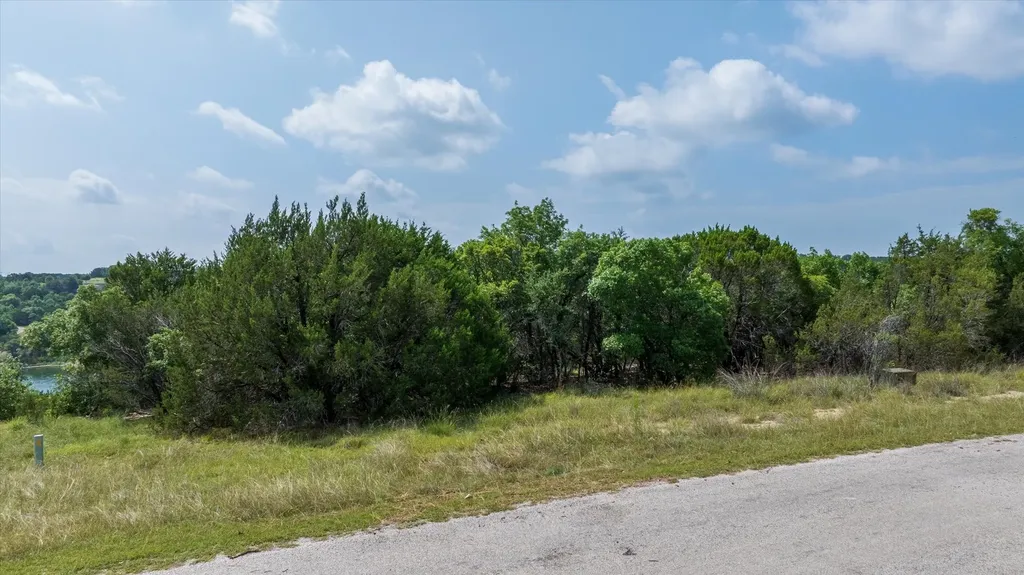 2590 Beacon Lake Drive Bluff Dale TX 76433