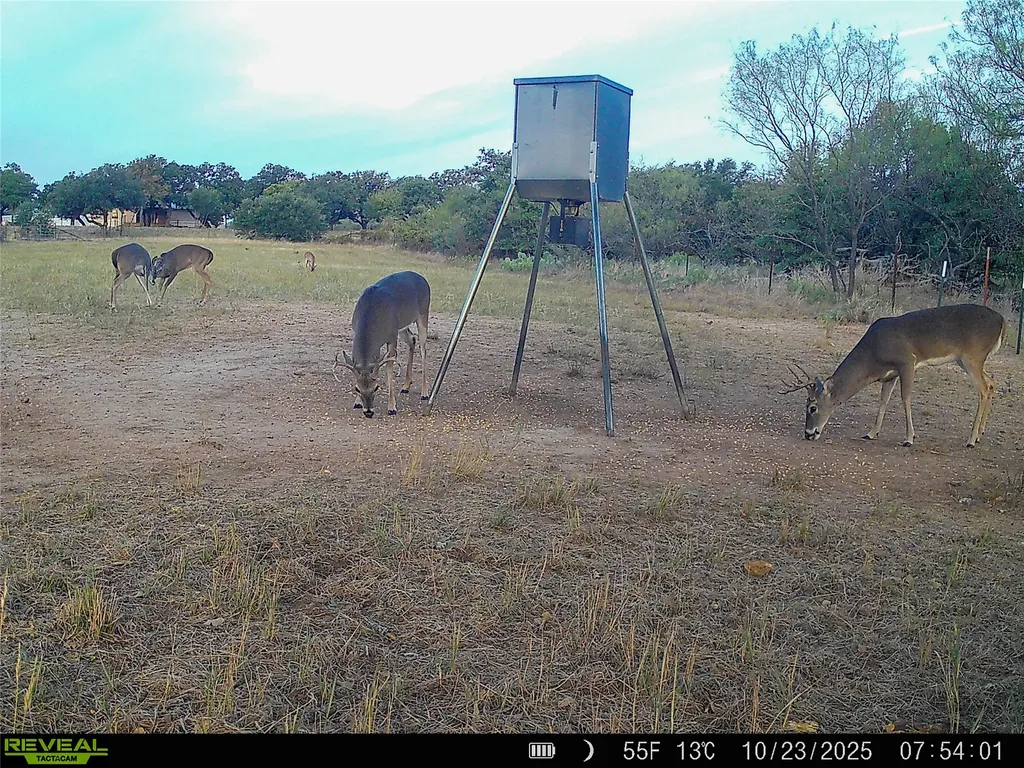 2417 Fm 569 Highway Cisco TX 76437