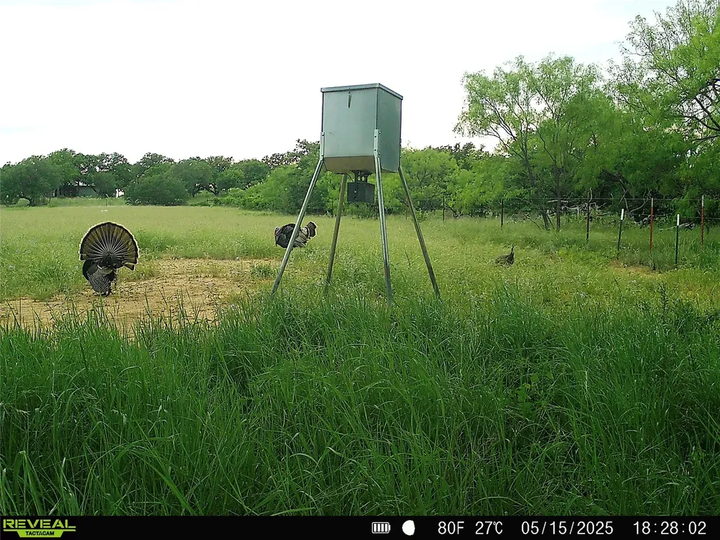 2417 Fm 569 Highway Cisco TX 76437