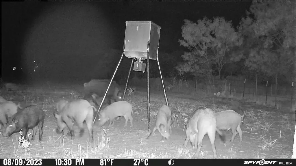 2417 Fm 569 Highway Cisco TX 76437