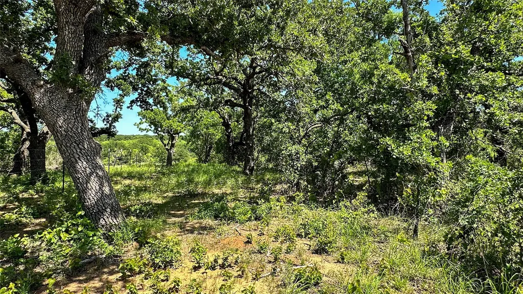 2417 Fm 569 Highway Cisco TX 76437