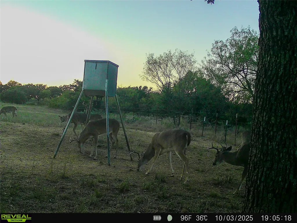 2417 Fm 569 Highway Cisco TX 76437