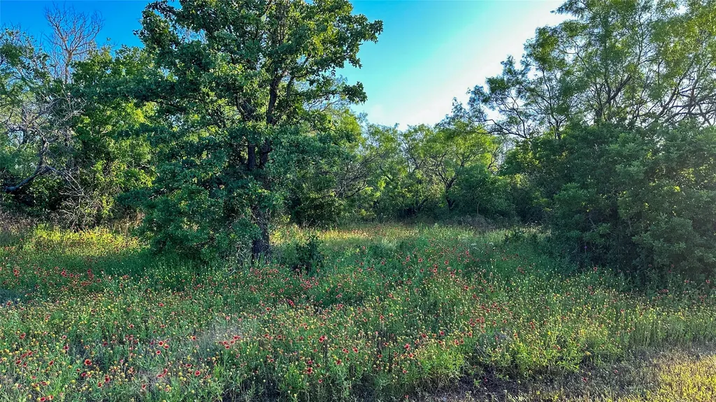 2417 Fm 569 Highway Cisco TX 76437