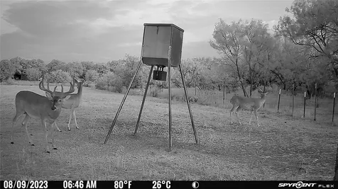 2417 Fm 569 Highway Cisco TX 76437