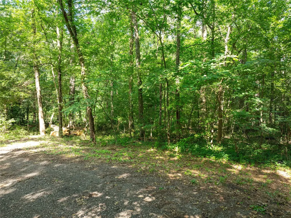Tbd Bandera Mount Vernon TX 75457