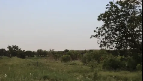300 County Road 232 Rotan TX 79546