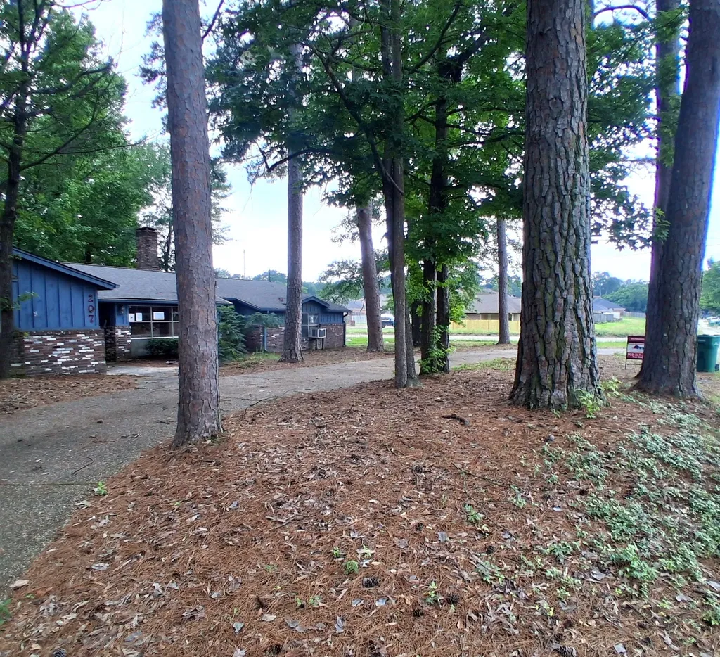207 Wildwood Drive Texarkana TX 75501