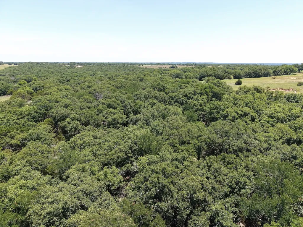 Tbd Turkey Court Perrin TX 76449