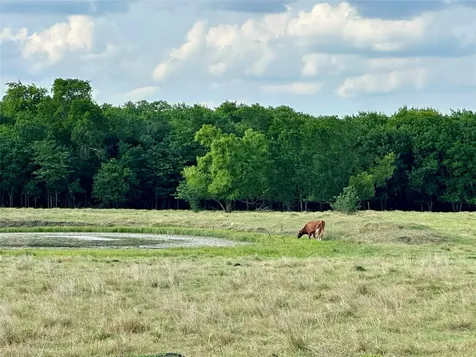 2129 County Road 2130 Cooper TX 75432