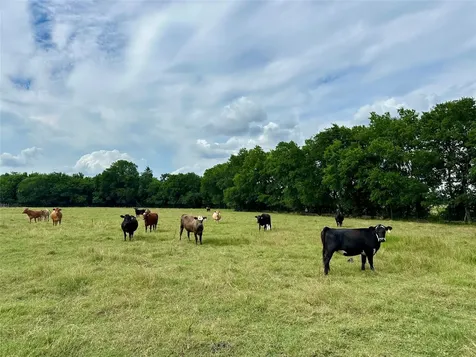 2129 County Road 2130 Cooper TX 75432