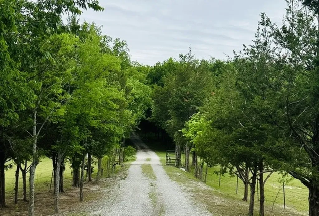 303 Celtic Road Howe TX 75459