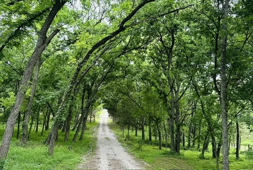 303 Celtic Road Howe TX 75459