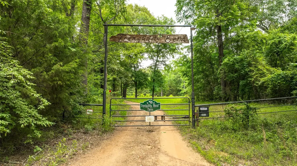 251 Private Road 8179 Ben Wheeler TX 75754