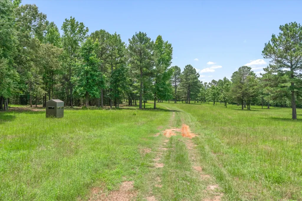 21022 Us Highway 271 Highway Gladewater TX 75647