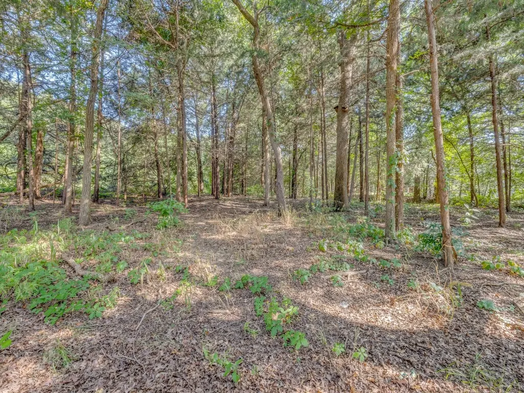 203 Pueblo Drive Lake Kiowa TX 76240
