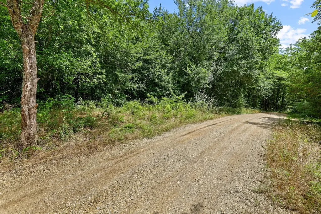 Tbd Roy Ayres Road Bells TX 75414