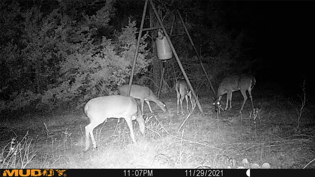 Tbd Roy Ayres Road Bells TX 75414