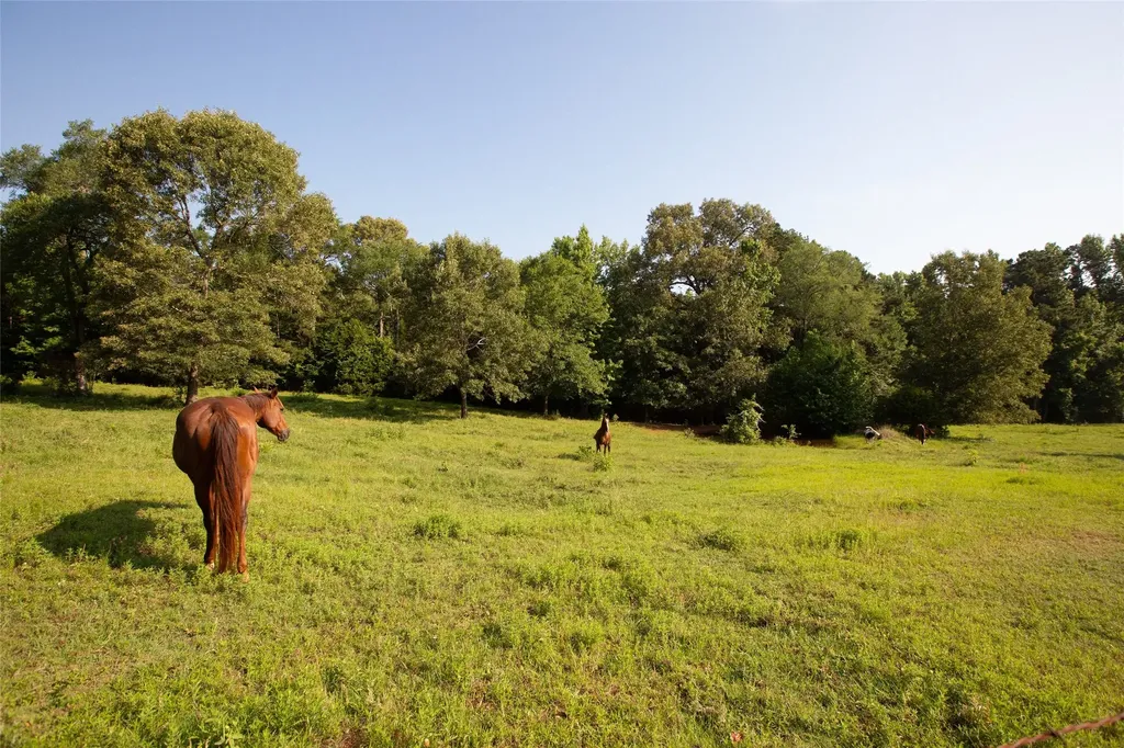 1211 An County Road 153 Palestine TX 75801