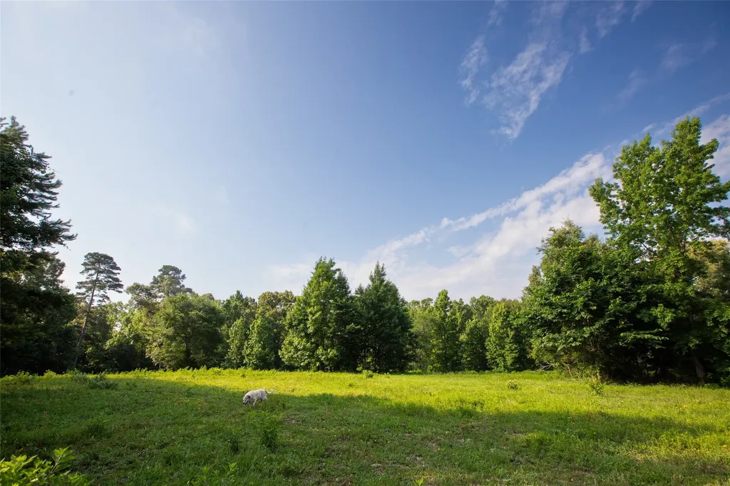 1211 An County Road 153 Palestine TX 75801