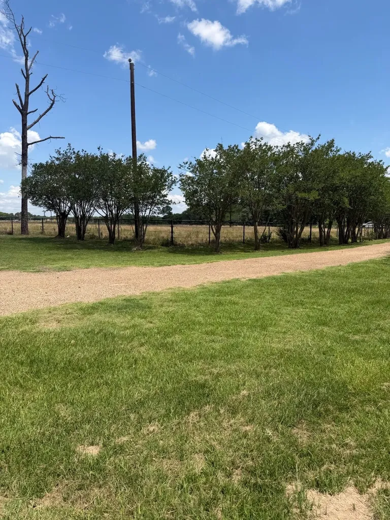 12225 Fm 429 Terrell TX 75161