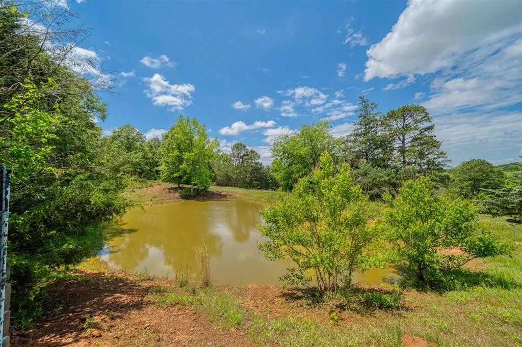 1936 B Silver Maple Road Big Sandy TX 75755
