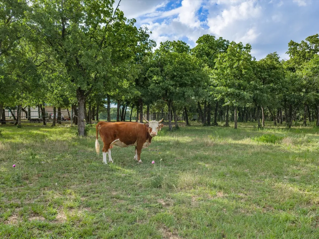 210 County Road 2696 Alvord TX 76225