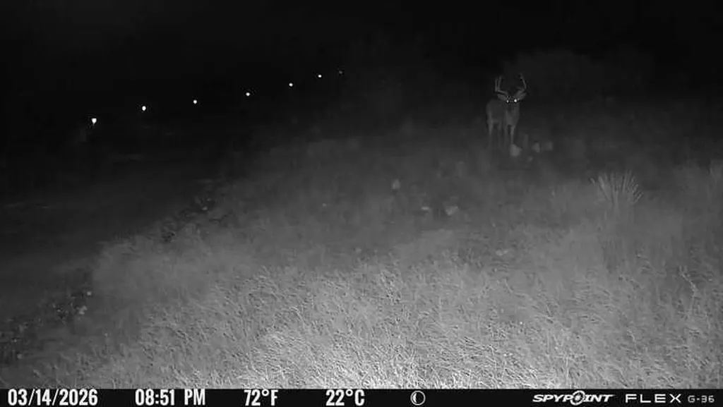 14867 County Road 407 Trent TX 79561