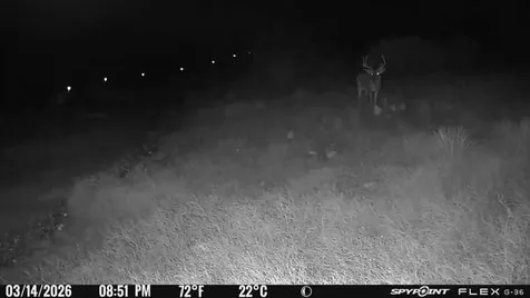 14867 County Road 407 Trent TX 79561