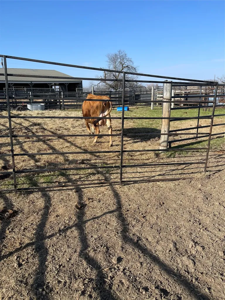 1044 Hcr 3241 Hubbard TX 76648