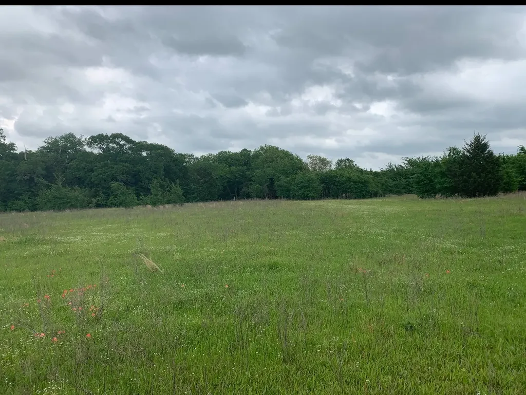 1449 County Road 4131 Cumby TX 75433