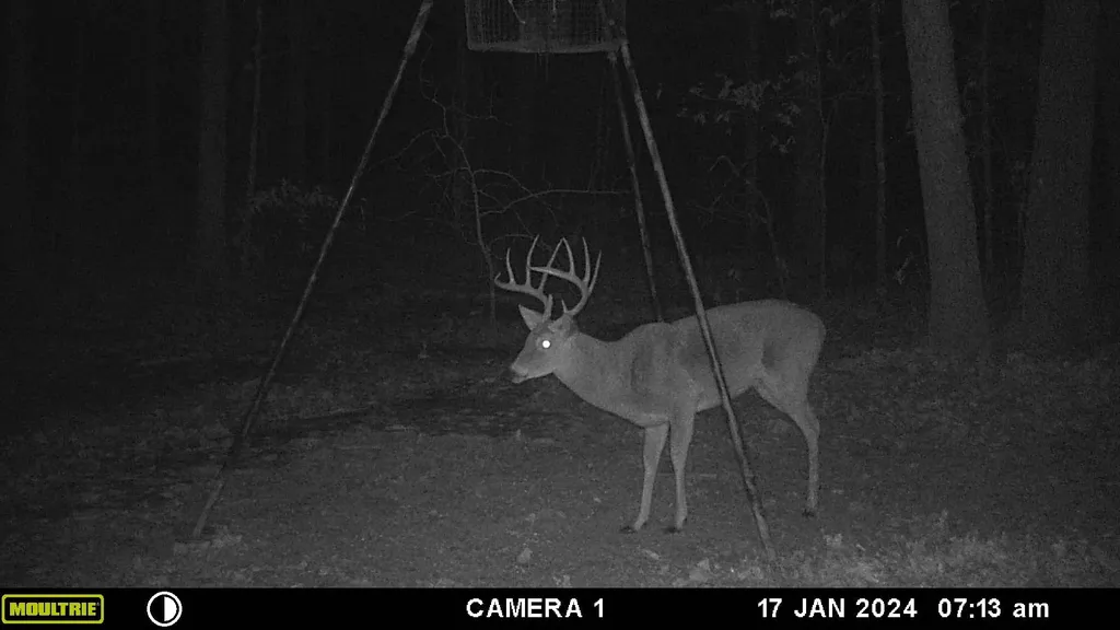 Tbd County Road 1695 Alba TX 75410