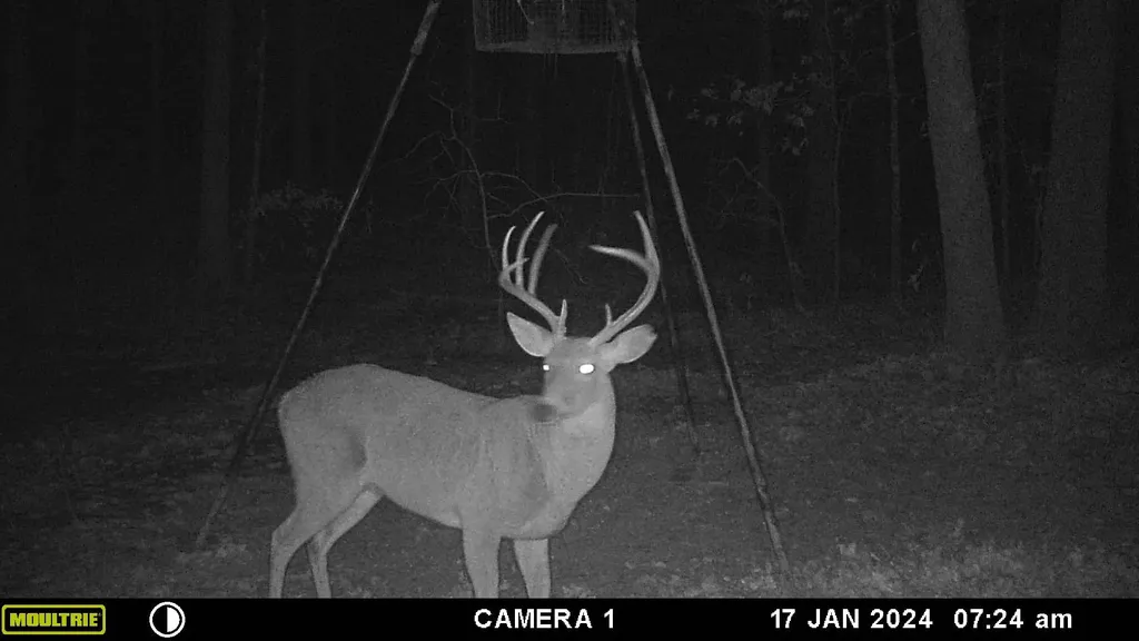 Tbd County Road 1695 Alba TX 75410