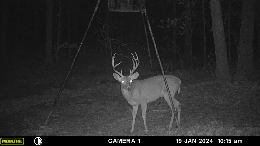 Tbd County Road 1695 Alba TX 75410
