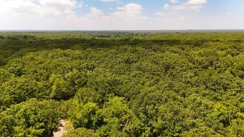Tbd County Road 1695 Alba TX 75410