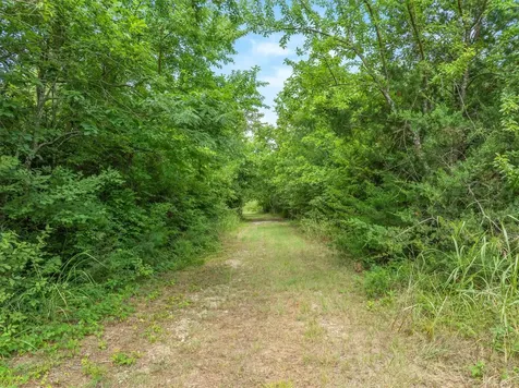 Tbd Fm 2737 Lone Oak TX 75453