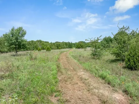 Tbd Fm 2737 Lone Oak TX 75453