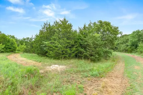 Tbd Fm 2737 Lone Oak TX 75453