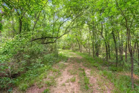 Tbd Fm 2737 Lone Oak TX 75453