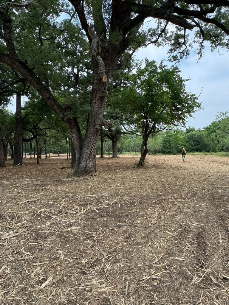 Lot 92 SE Cr 1190 Richland TX 76681
