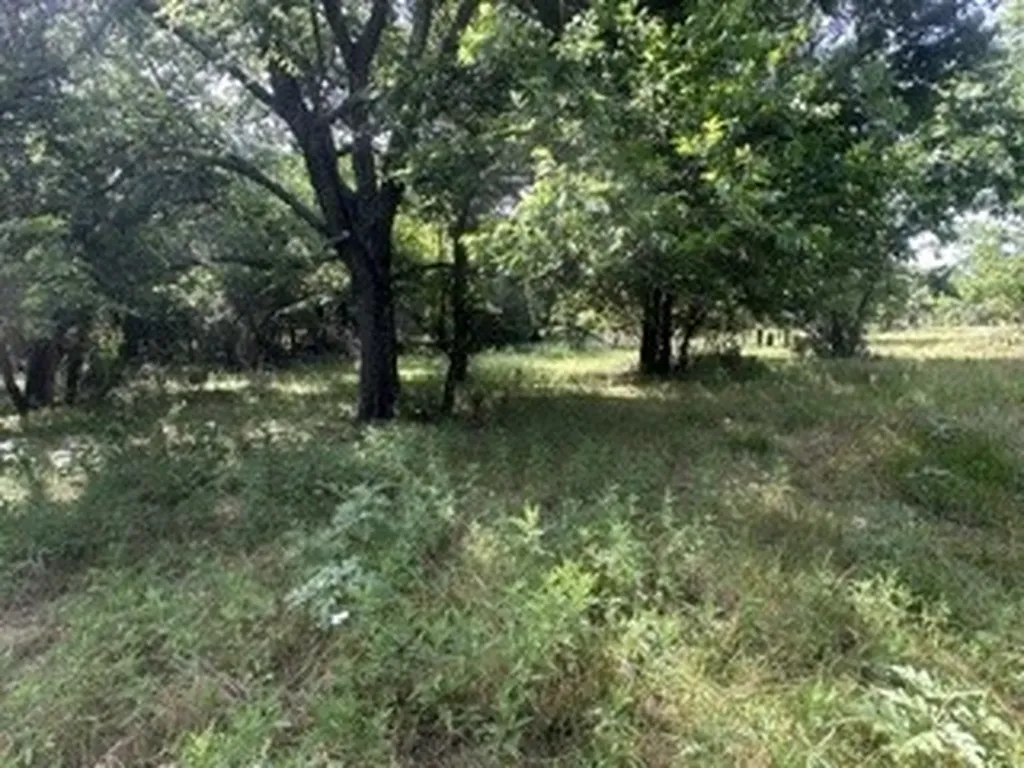 Tbd (Lot 7) Barry Road Henrietta TX 76365